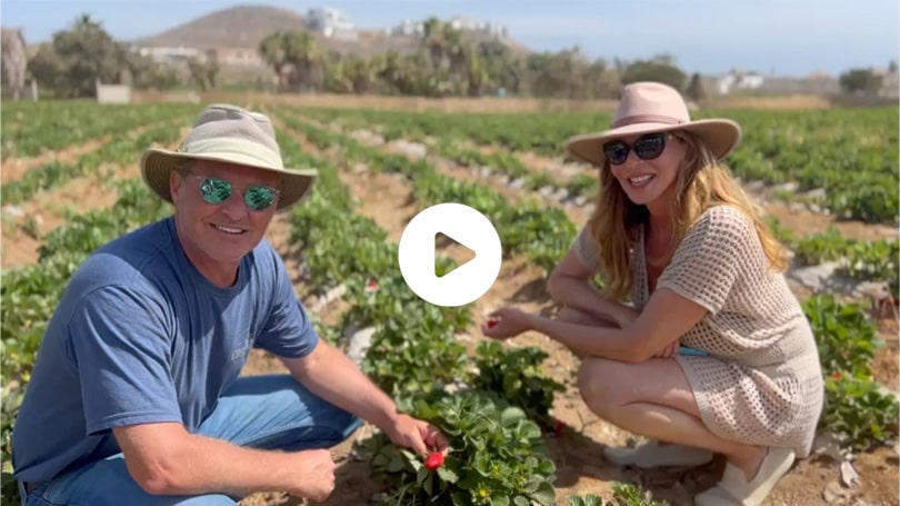 Mike and Vivian - Strawberry Fields Video Thumbnail